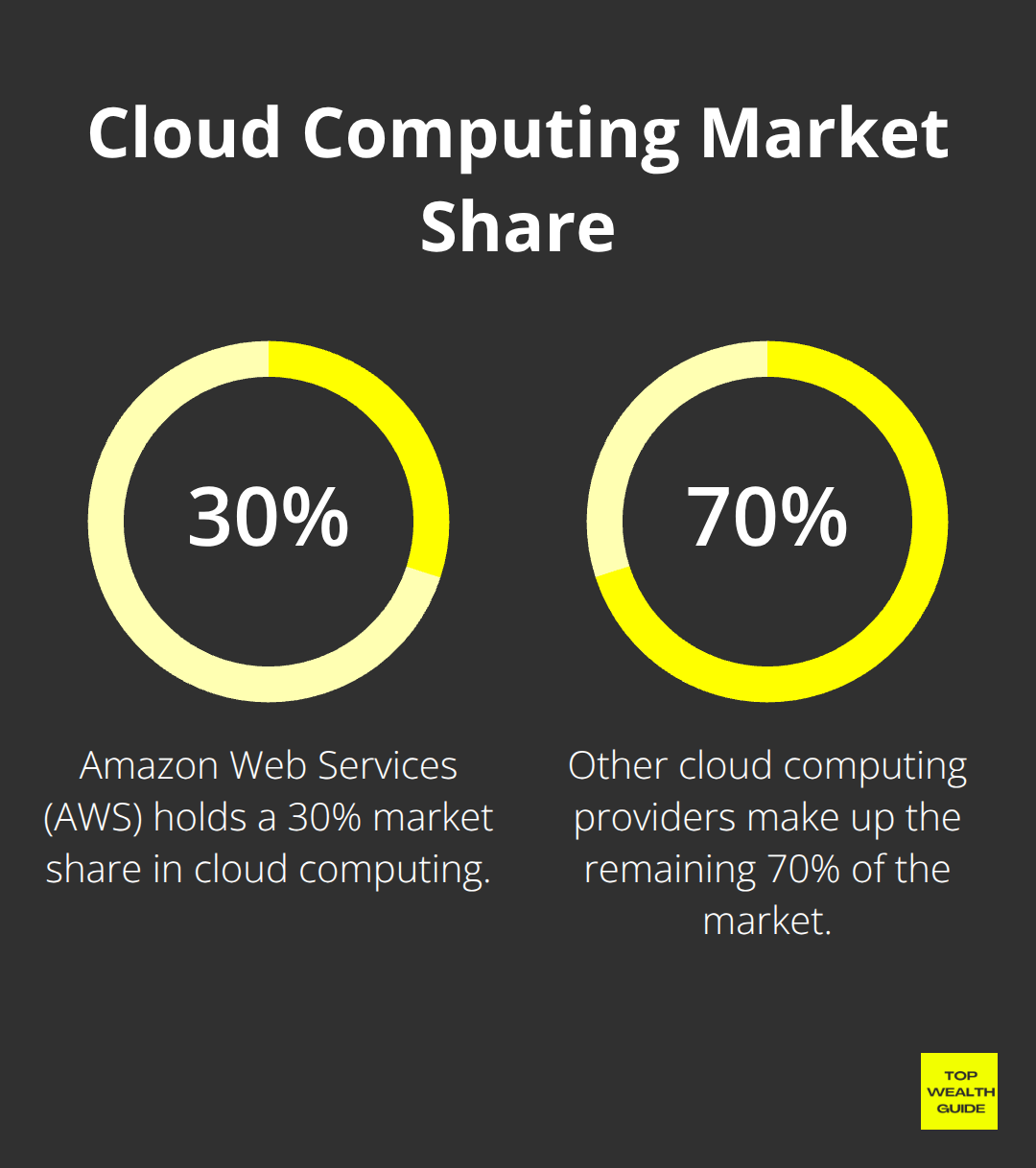 Pie chart showing AWS's 30% market share in cloud computing - Best stocks